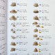 Book "Eco Andaria hats"