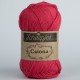 Scheepjes Catona 50г - 516 candy apple