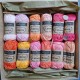 Scheepjes Catona Set 'Peach' (12 pcs)