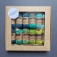 Scheepjes Catona Set 'Mavka' (12 pcs)