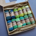 Scheepjes Catona Set 'Willow' (12 pcs)