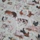 Ozevi project bag, farm animals