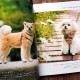 Book "Realistic Felted Dogs"